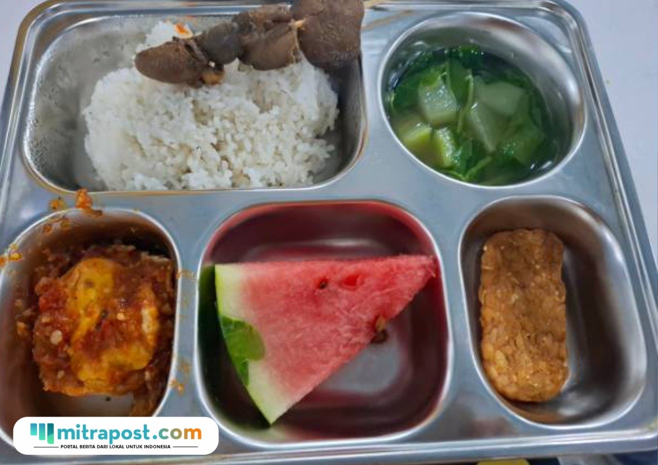 Ilustrasi menu MBG/istock