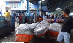 Foto: suasana di TPI Unit 1 Desa Bajomulyo (Mitrapost.com/ Kafi)