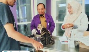 Foto : Penyuntikan vaksin rabies di UPTD Puskeswan Kabupaten Pati, Senin (22/09/2025). (Sumber. Mitrapost.com/ Ilham)