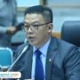 Menteri Luar Negeri RI, Sugiono /laman gerindra