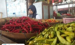 Foto: pedagang cabai di pasar puri baru (Mitrapost.com/ ilham)