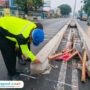 Foto: Satlantas Polresta Pati saat olah TKP kecelakaan di Jalan Raya P. Sudirman, Desa Margorejo, Kecamatan Margorejo (Mitrapost.com/ Satlantas Polresta Pati)