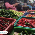 harga cabai pati