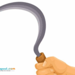 7 Pemuda Diduga Klitih Diamankan Aparat, Sempat Bacok Dua Korban di Klaten