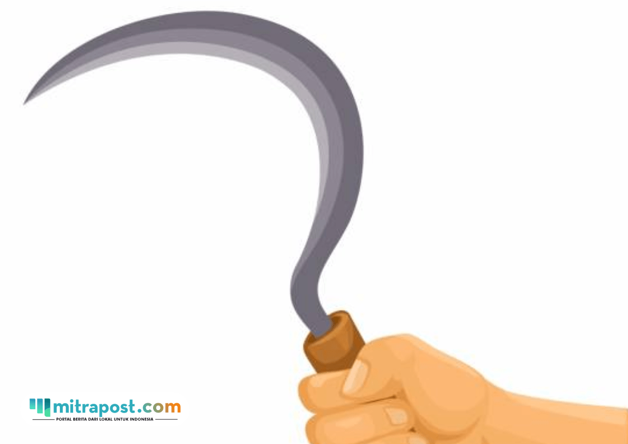 klitih 7 Pemuda Diduga Klitih Diamankan Aparat, Sempat Bacok Dua Korban di Klaten