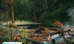 Foto: Potret Lembah Tengkorak di Gunung Bukittunggul, Kabupaten Bandung (Sumber: Traveloka)