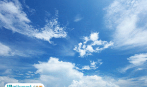 Foto: ilustrasi (sumber: istock)