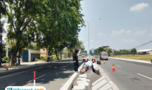 Foto : Pengerjaan tiang penerangan jalan umum yang berada di Jalan Panglima Sudirman sampai Tugu Bandeng. (Sumber. Mitrapost.com/ Ilham)