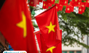 Foto: Ilustrasi bendera Vietnam (sumber: istock) Foto: Ilustrasi bendera Vietnam (sumber: istock)