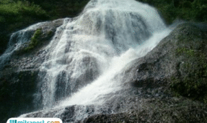 Foto: Curug Wining, Kaliwiro (sumber: Tripadvisor) Foto: Curug Wining, Kaliwiro (sumber: Tripadvisor)