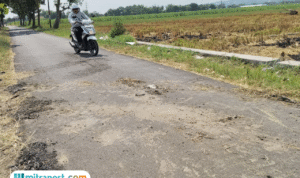 Foto: jalan alternatif penghubung Desa Jambean Kidul–Gondoharum yang sudah mulai rusak (Mitrapost.com/ Kafi)