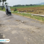 Foto: jalan alternatif penghubung Desa Jambean Kidul–Gondoharum yang sudah mulai rusak (Mitrapost.com/ Kafi)