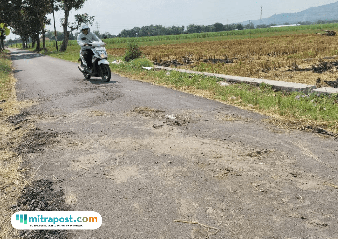 Foto: jalan alternatif penghubung Desa Jambean Kidul–Gondoharum yang sudah mulai rusak (Mitrapost.com/ Kafi)