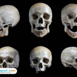 Foto: ilustrasi (sumber: istock)