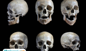 Foto: ilustrasi (sumber: istock)