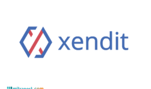 Foto: Logo startup Xendit (sumber: Xendit)