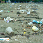 Foto: ilustrasi (sumber: istock)