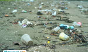 Foto: ilustrasi (sumber: istock)