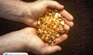 Foto: ilustrasi penemuan emas (sumber: istock) Foto: ilustrasi penemuan emas (sumber: istock)