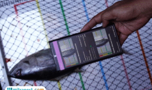 Foto: Penerapan Teknologi E-Logbook V3 Berbasis AI FishFace (sumber: KKP)