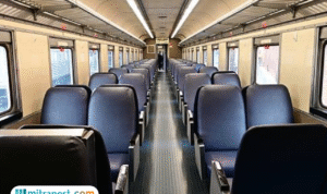 Foto: ilustrasi bangku kereta api (sumber: istock) Foto: ilustrasi bangku kereta api (sumber: istock)