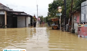 Foto : Kondisi banjir Desa Ketitang Wetan tepat di RT 5 RW 1, tampak tak banyak warga yang melakukan aktivitas sehari-hari. (Sumber. Mitrapost.com/ Ilham) Foto : Kondisi banjir Desa Ketitang Wetan tepat di RT 5 RW 1, tampak tak banyak warga yang melakukan aktivitas sehari-hari. (Sumber. Mitrapost.com/ Ilham)