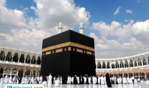 Foto: ilustrasi (sumber: istock) Foto: ilustrasi (sumber: istock)