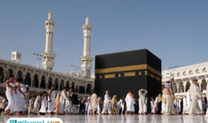 Foto: ilustrasi (sumber: istock) Foto: ilustrasi (sumber: istock)