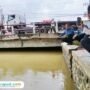 Foto : Peninjauan Jembatan Sungai Kaliombo Kecamatan Batangan Pati oleh Bupati Pati Sudewo, Selasa sore. (Sumber. Mitrapost.com/ Ilham)