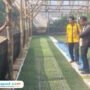 Foto : Monitoring Persemaian Bawang Merah gunakan metode TSS di Desa Tompomulyo Kecamatan Batangan, belum lama ini. (Dok. Dispertan Kabupaten Pati)