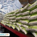 Ilustrasi pupuk subsisid/istock