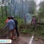 pohon tumbang di Jalan Raya Randublatung-Blora/polres Blora pohon tumbang di Jalan Raya Randublatung-Blora/polres Blora