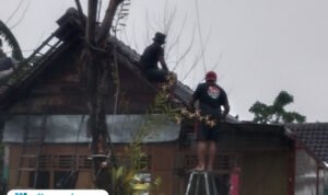 Angin Puting Beliung Terjang Desa Bajo Blora, Lima Bangunan Rusak/polres Blora Angin Puting Beliung Terjang Desa Bajo Blora, Lima Bangunan Rusak/polres Blora