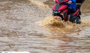 Ilustrasi banjir/istock