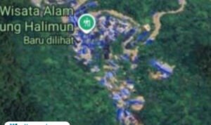 Taman Nasional Gunung Halimun Salak (TNGHS) dikepung tenda biru jika dilihat dari citra satelit Google Maps/istimewa Taman Nasional Gunung Halimun Salak (TNGHS) dikepung tenda biru jika dilihat dari citra satelit Google Maps/istimewa
