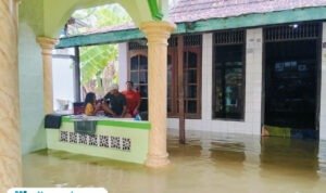 Foto : Kondisi banjir di Desa Ketitang Wetan Kecamatan Batangan Pati, Senin (27/10/2025). (Sumber. Mitrapost.com/ Ilham) Foto : Kondisi banjir di Desa Ketitang Wetan Kecamatan Batangan Pati, Senin (27/10/2025). (Sumber. Mitrapost.com/ Ilham)