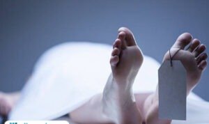 Ilustrasi jasad korban/istock Ilustrasi jasad korban/istock