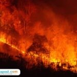 Ilustrasi kebakaran/istock