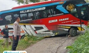 bus-terperosok-di-pati Bus Peziarah Kesasar dan Terperosok di Jalan Desa Plukaran Pati
