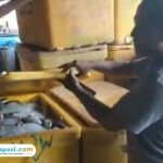 pati juwana bandeng