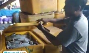 pati juwana bandeng