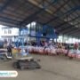 ikan laut pati