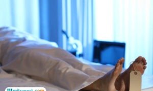Perempuan Ditemukan Tewas di Lahan Kosong Kawasan Pejaten Jaksel, Diduga Seorang Terapis