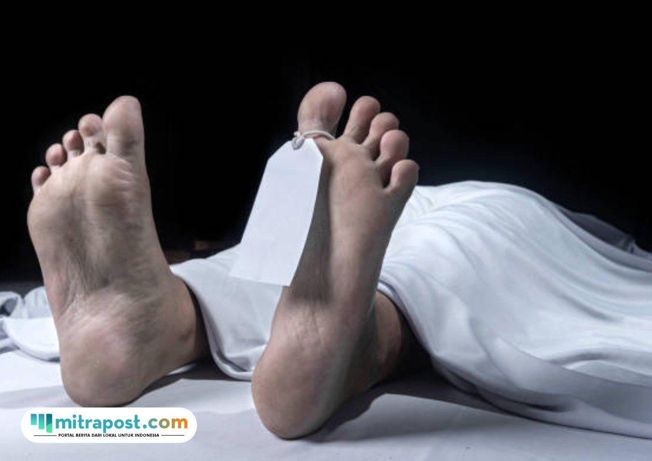 petani-di-temanggung-jatuh-jurang Petani di Temanggung Tewas Usai Jatuh ke Jurang 40 Meter