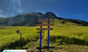 Foto: Potret Gunung Sumbing Via Gajah Mungkur (sumber: Porter Gunung Sumbing) Foto: Potret Gunung Sumbing Via Gajah Mungkur (sumber: Porter Gunung Sumbing)