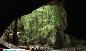 Kisah Sudarmaji, Penghuni Gua Anggas Wesi Jombang sejak 1983