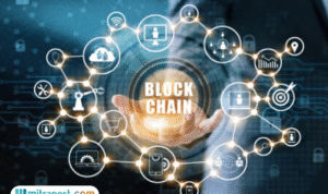 Foto: ilustrasi (sumber: istock)