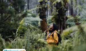 Foto: ilustrasi (sumber: istock)