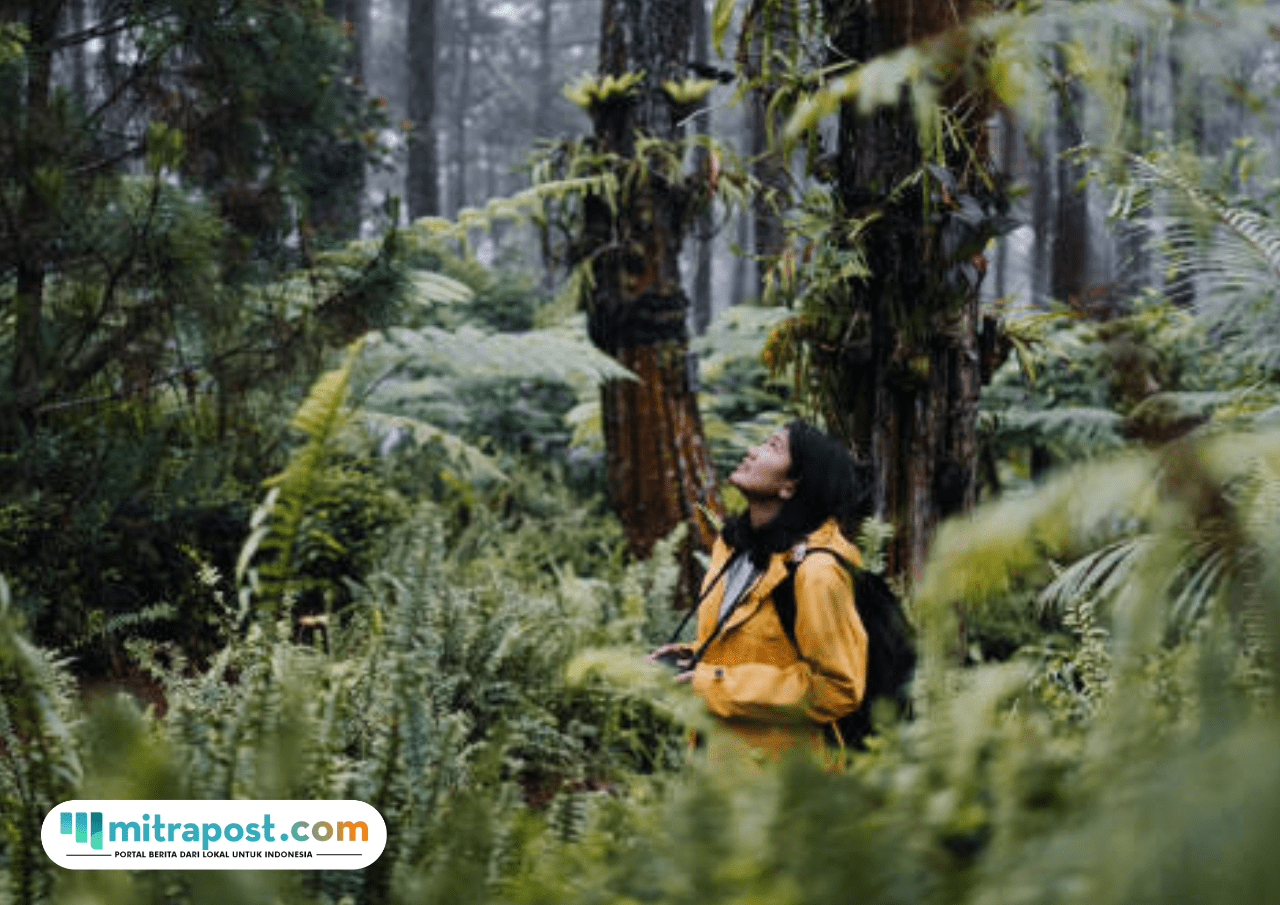 Foto: ilustrasi (sumber: istock)