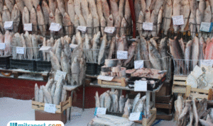 Mengenal Yakutsk, Kota Terdingin di Bumi yang Dihuni 280 Ribu Penduduk Mengenal Yakutsk, Kota Terdingin di Bumi yang Dihuni 280 Ribu Penduduk